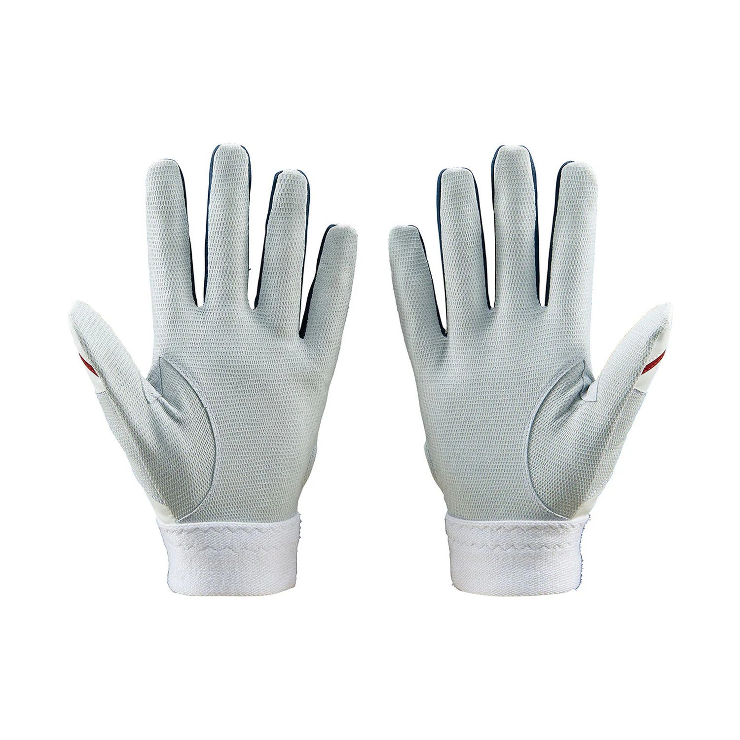 ZETT Prostatus Limited Color Batting Gloves – BG13011E